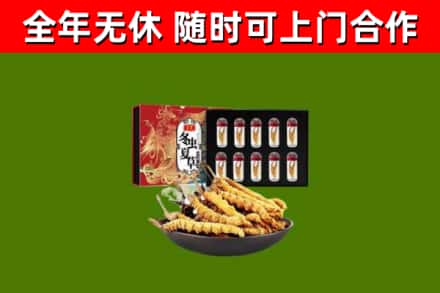 浉河回收冬虫夏草价格